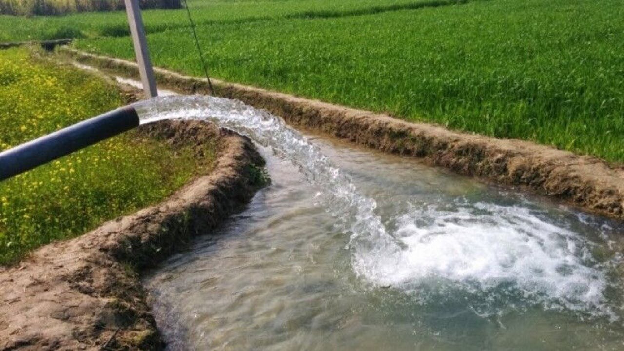 الگوی کشت برمبنای آب تخصیصی بخش کشاورزی اجرا می شود الگوی کشت برمبنای آب تخصیصی بخش کشاورزی اجرا می شود