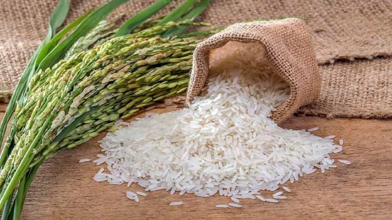 راهکار تنظیم بازار برنج در کشور چیست؟ راهکار تنظیم بازار برنج در کشور چیست؟