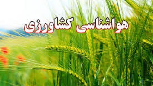 ولیدکنندگان تنظیم جیره غذایی دام و طیور را در دستور کار قرار دهند
