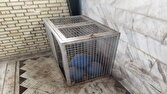 محرومیت نابینایان از تنها سانس تمرینی خود در آستانه روز جهانی عصای سفید