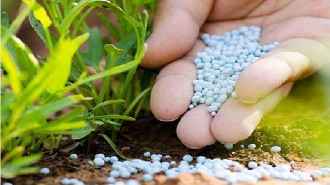 برنامه ریزی برای توزیع ۳ میلیون تن کود یارانه‌ای در بین کشاورزان