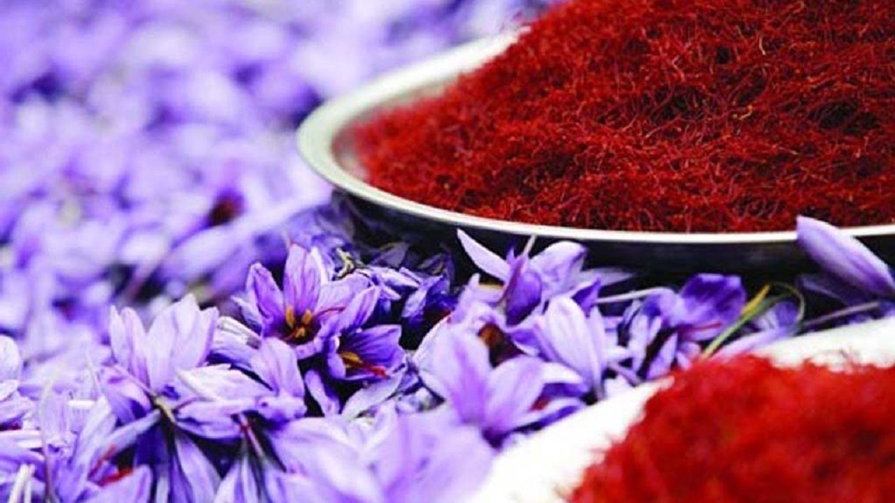 تولید زعفران ۲۰ درصد افزایش می‌یابد