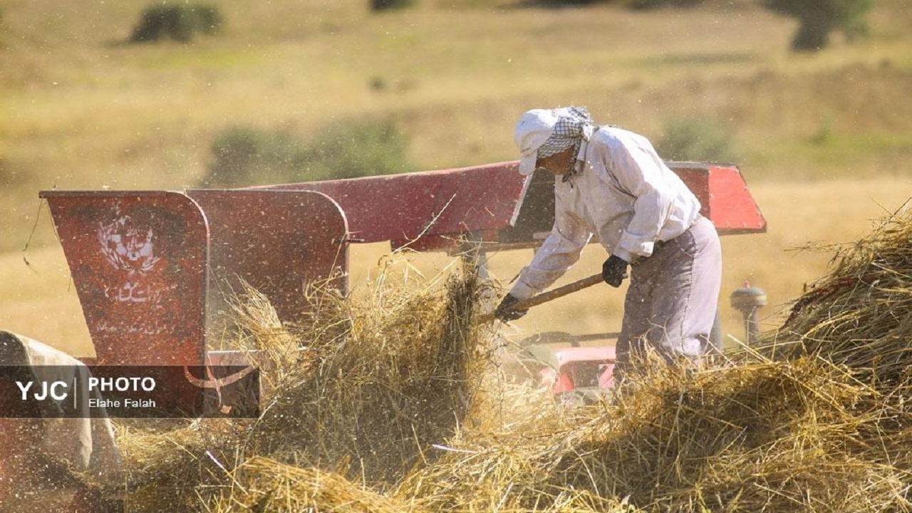 جلسه قیمت گذاری گندمکاران برای سال آینده برگزار شد جلسه قیمت گذاری گندمکاران برای سال آینده برگزار شد