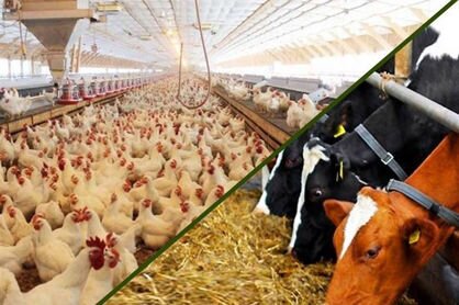 سرمایه گذاری ۵۰۰ میلیارد تومانی برای ترویج و توسعه طرح‌های فناورانه