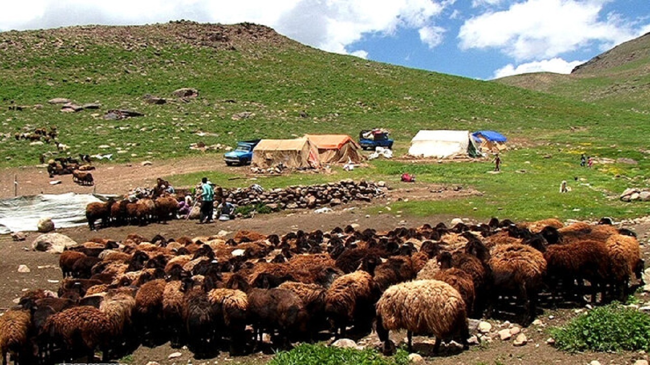 کارت الکترونیک آرد جامعه عشایر به زودی اجرا می‌شود/تخصیص ۳ همت اعتبار برای رفع تنش آبی جامعه عشایر + فیلم