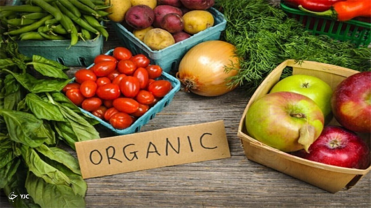 گردش مالی محصولات ارگانیک به ۵۰۰ میلیارد دلار می رسد