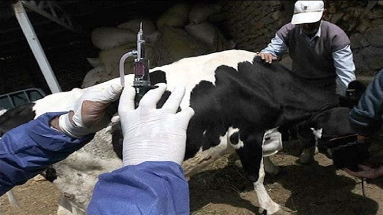 ایمنی فرآورده‌های لبنی و گوشتی موجود در بازار کاملاً  تایید شد