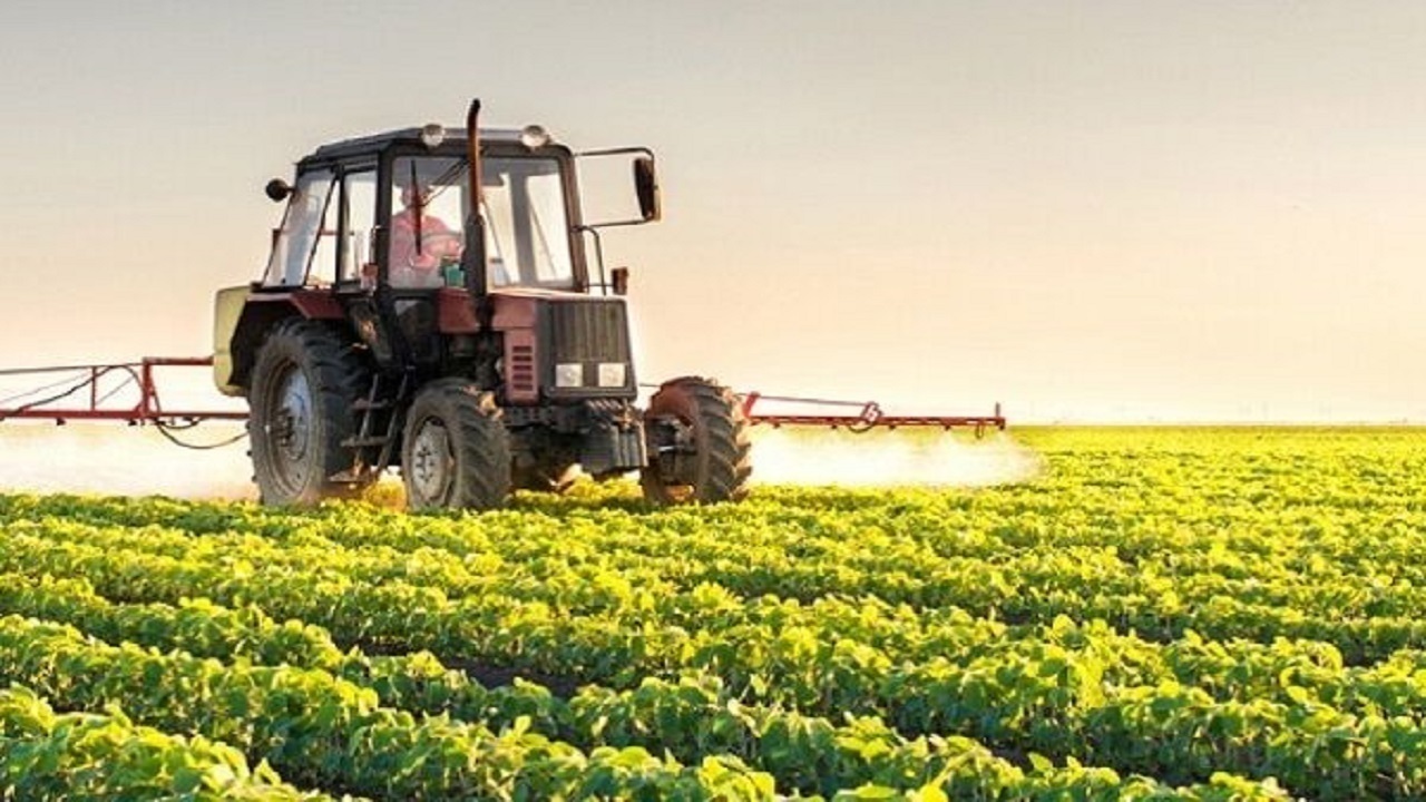 حذف ۵ محصول کشاورزی پر آب بر از لیست آب بر بودن حذف ۵ محصول کشاورزی پر آب بر از لیست آب بر بودن