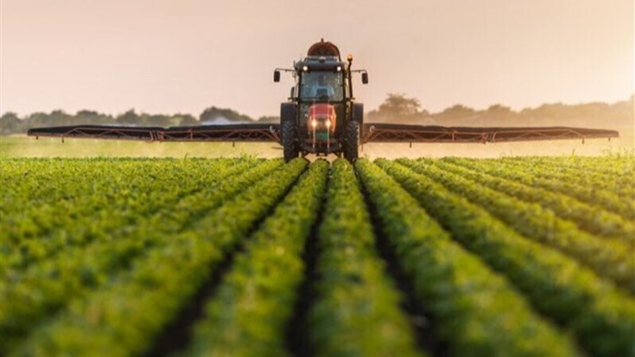 سیاست‌های وزارت نیرو در تخصیص آب در تناقض با خودکفایی محصولات اساسی است