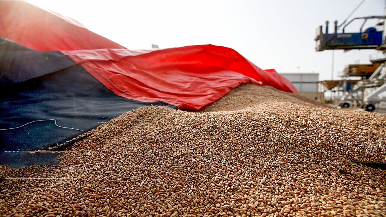 مسئولیت نظارت و توزیع نهاده‌های دامی به شرکت پشتیبانی امور دام واگذار شد