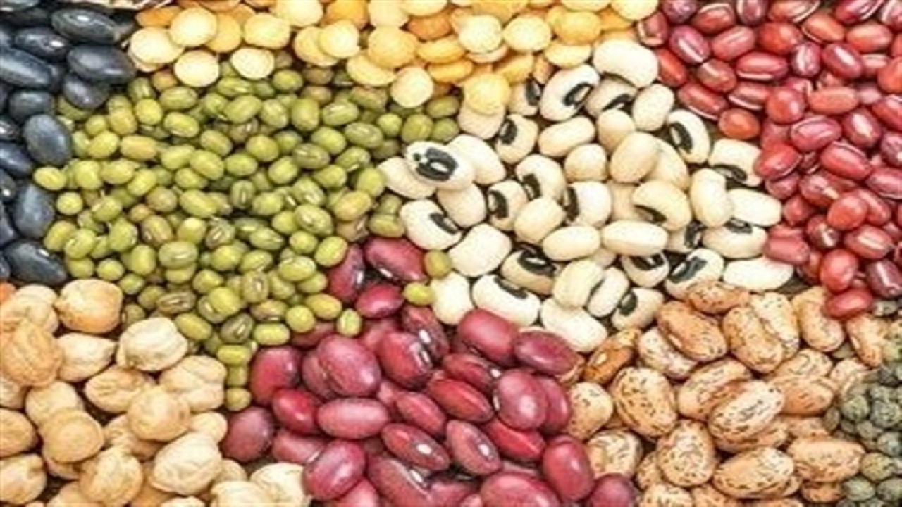 ۷۰ درصد حبوبات از داخل تامین می‌شود