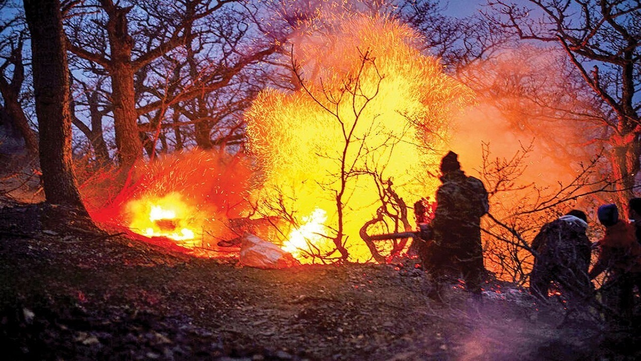 آتش سوزی جنگل ها، خاک آلی کشور را از بین برد+ فیلم آتش سوزی جنگل ها، خاک آلی کشور را از بین برد+ فیلم