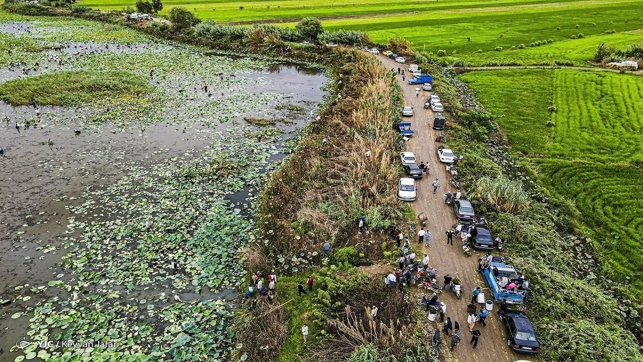 جلوگیری از خرد شدن اراضی کشاورزی راهکاری برای دستیابی به امنیت غذایی جلوگیری از خرد شدن اراضی کشاورزی راهکاری برای دستیابی به امنیت غذایی
