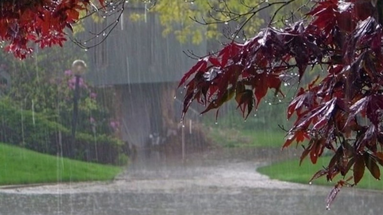 حوضه‌های خلیج فارس و دریای عمان و دریاچه ارومیه بیشترین بارش را دارند