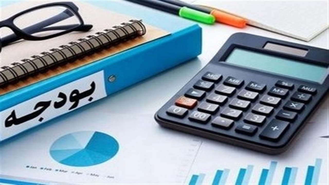 رد بودجه ۱۴۰۵ هشداری جدی به دولت بود/ بحران جدی در بازار مرغ و دام در راه است