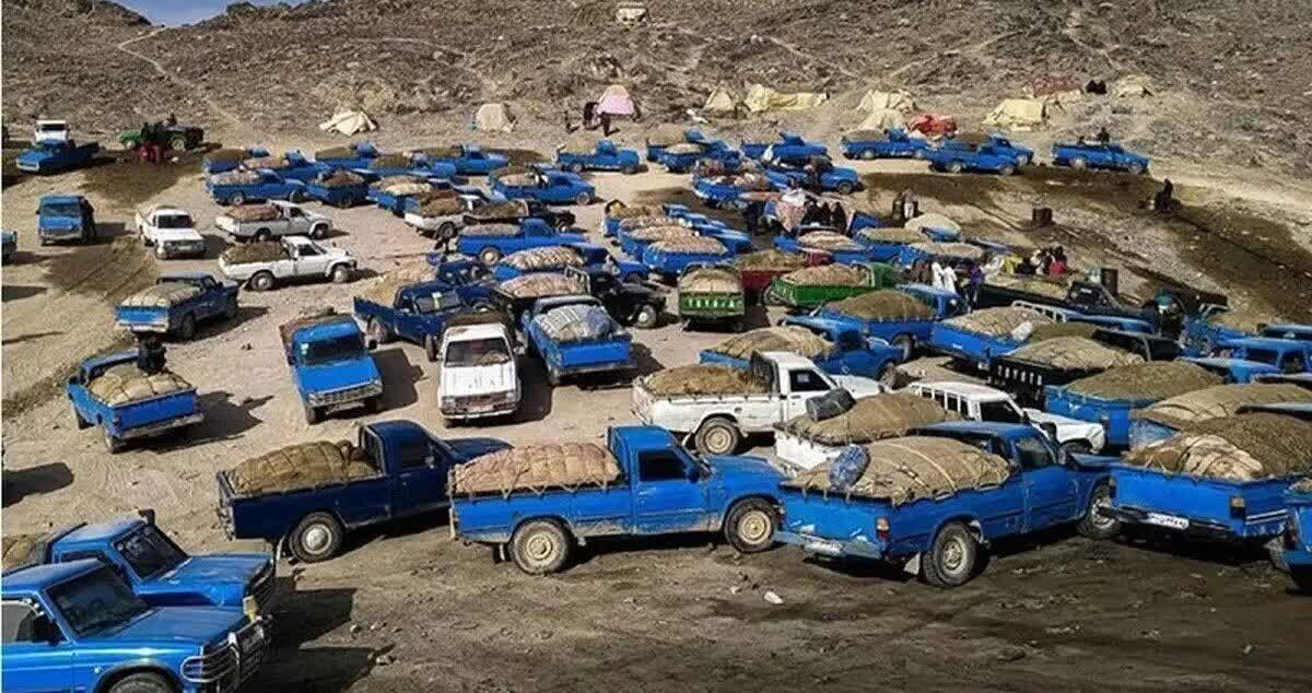 روزانه ۴.۵ میلیون لیتر از قاچاق سوخت کاسته شد