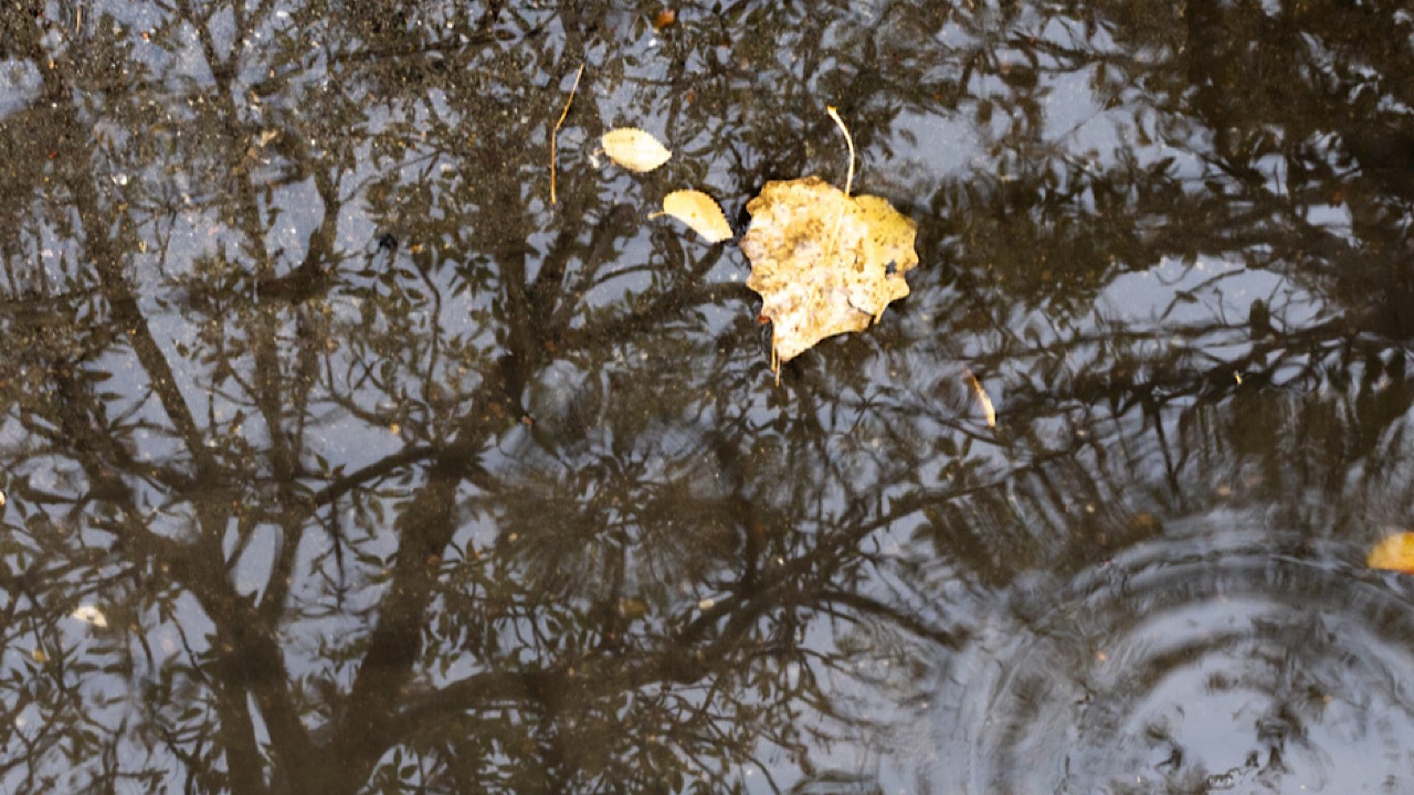 کسری ۴۰ میلی‌متری بارندگی/ بارش‌های پیش‌ِرو جبران‌کننده نیستند