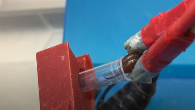 گرانقیمت‌ترین مایع جهان که هر لیتر آن ۱۰ میلیون دلار است