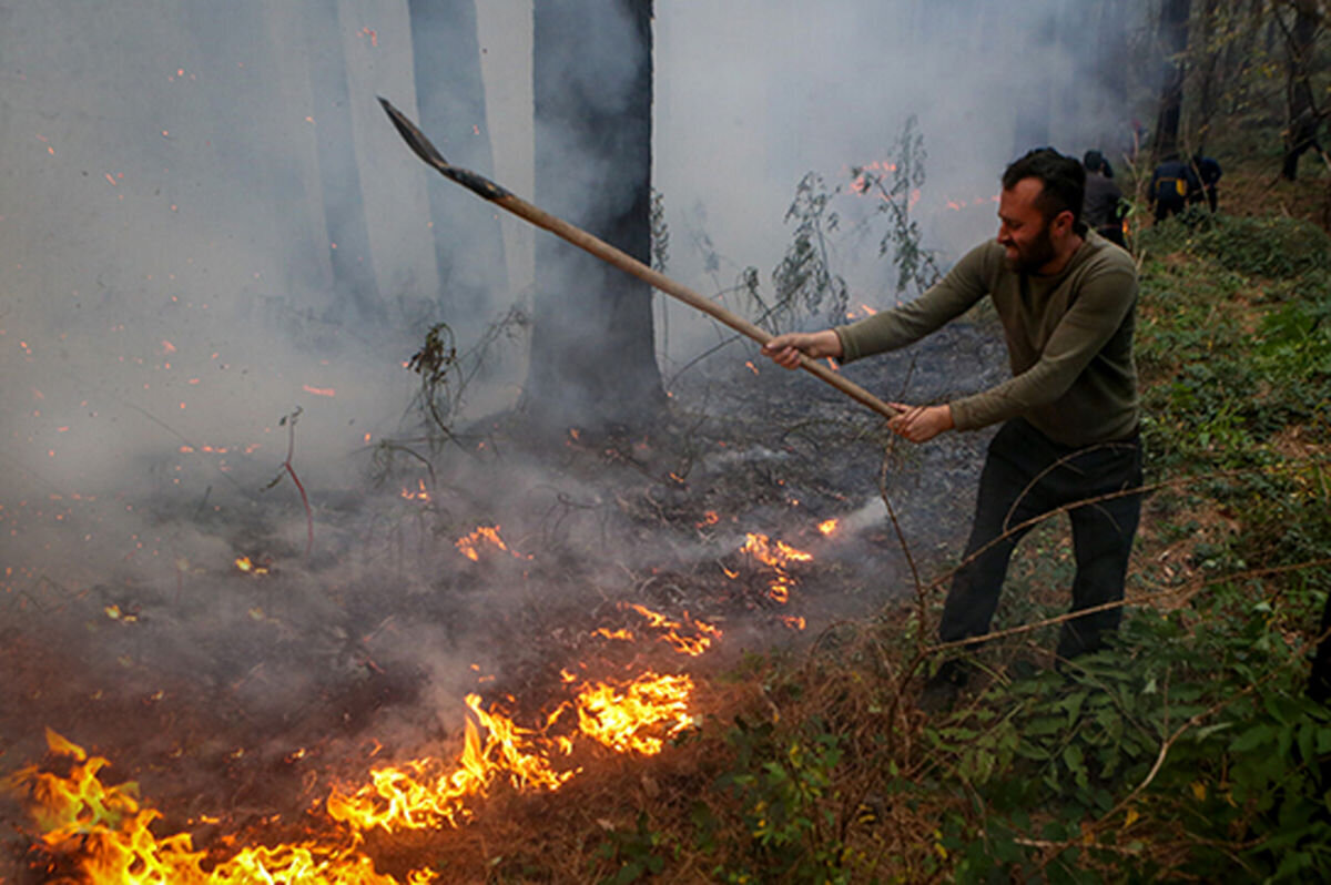 درخواست کمک از مردم؛ آتش به جان جنگل‌های گیلان افتاد