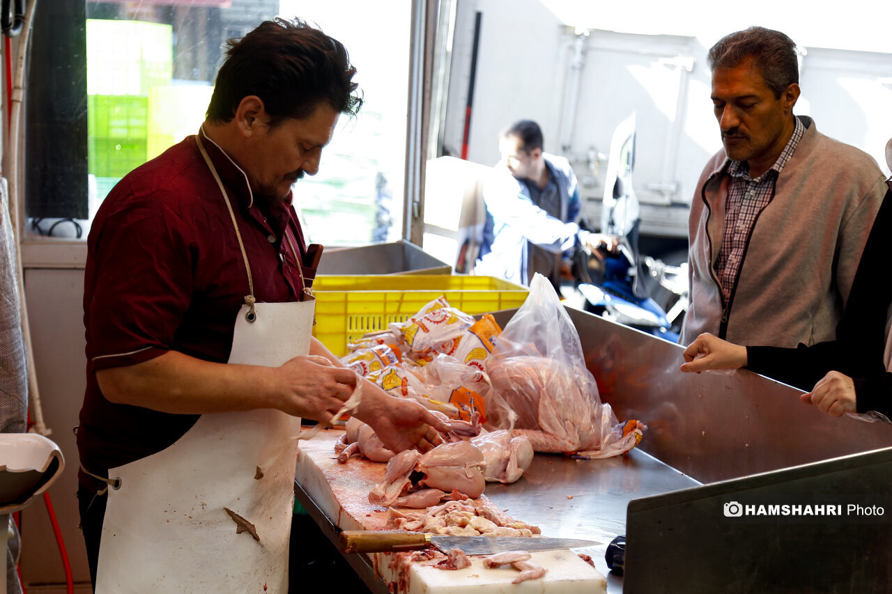 مرغ ارزان میشود؟ / تخصیص ارز ترجیحی چقدر بر بازار مرغ و گوشت تاثیر گذار بود؟ مرغ ارزان میشود؟ / تخصیص ارز ترجیحی چقدر بر بازار مرغ و گوشت تاثیر گذار بود؟