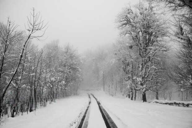 صدور هشدار نارنجی و بارش برف در این استان