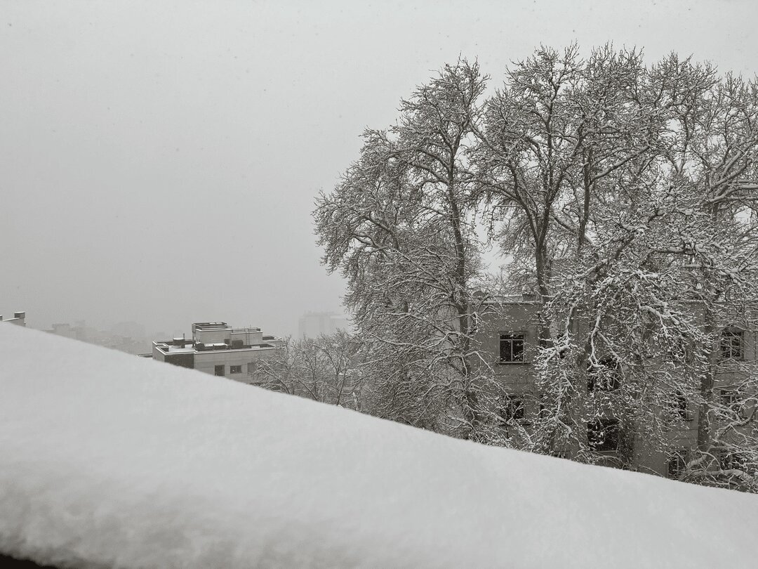 بارش برف ۱۱۵ سانتیمتر در این استان بارش برف ۱۱۵ سانتیمتر در این استان