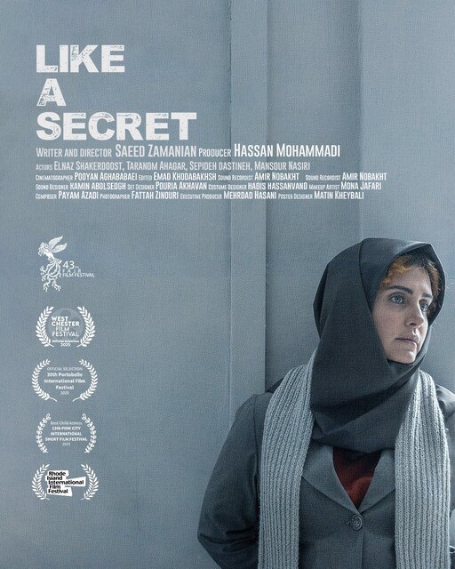 اکران آنلاین فیلمی با بازی الناز شاکردوست اکران آنلاین فیلمی با بازی الناز شاکردوست