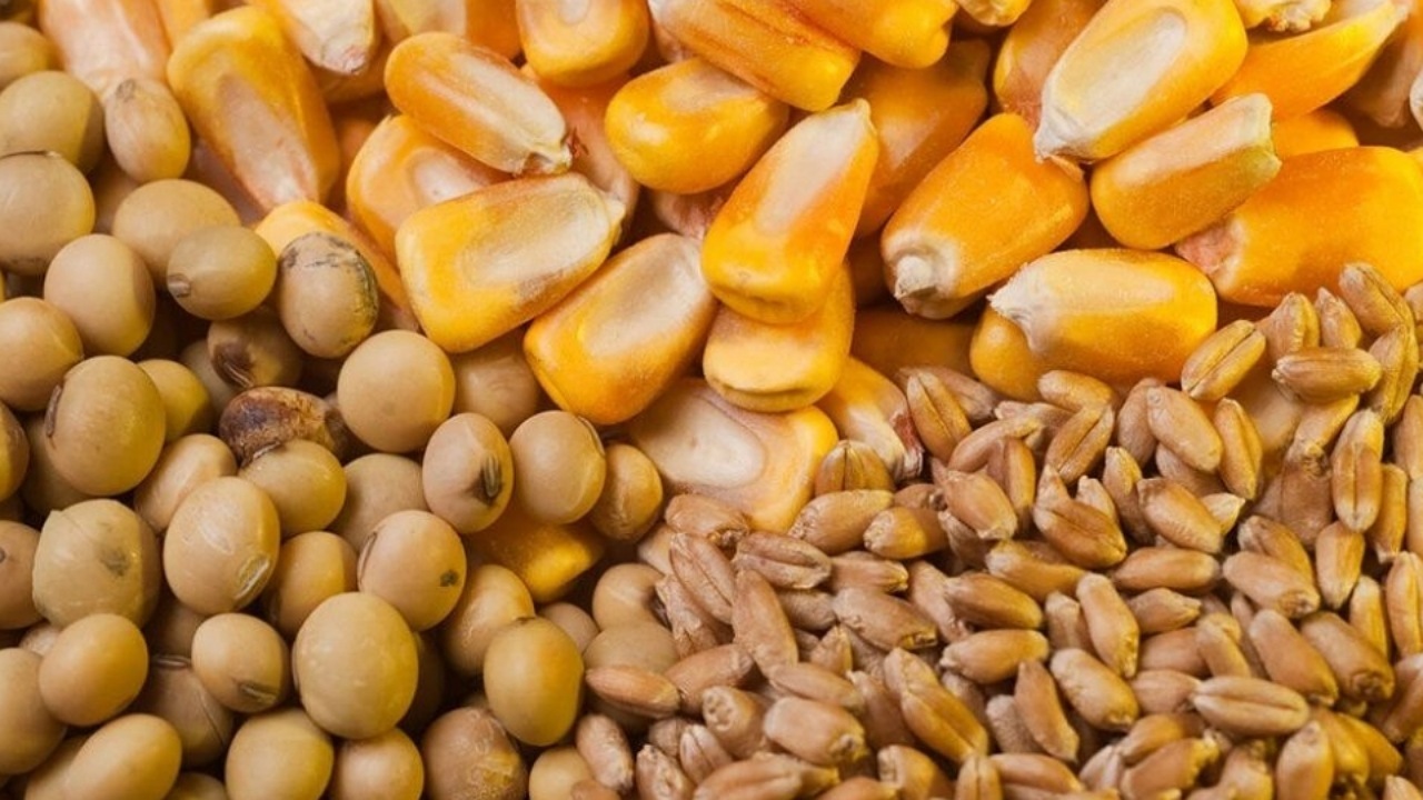 عرضه نهاده‌های دامی به نرخ توافقی در بازارگاه از امروز