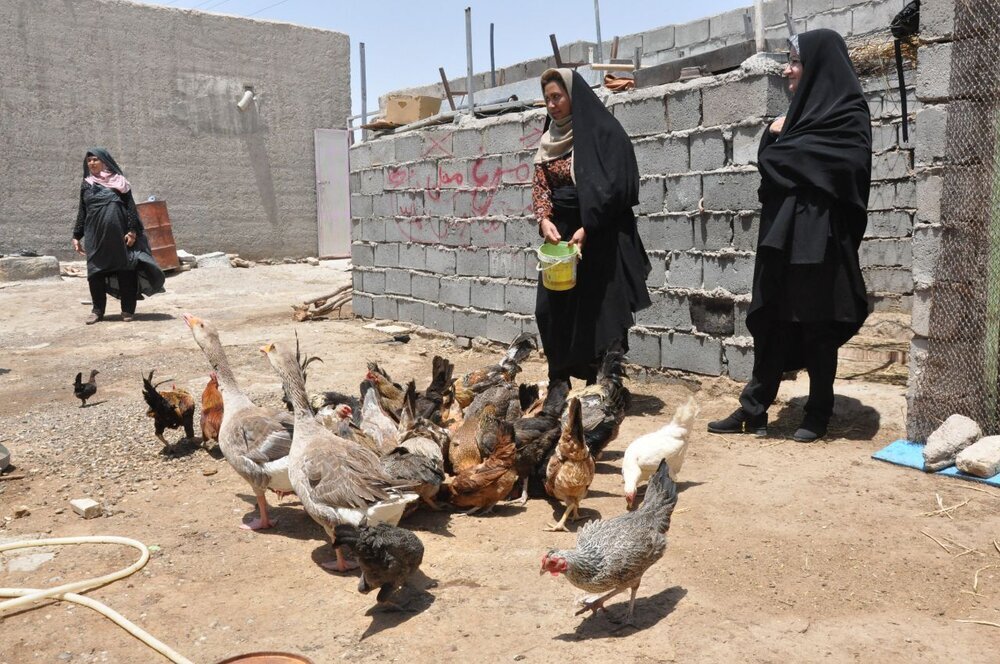 زمان پرداخت عیدی روستائیان مشخص شد زمان پرداخت عیدی روستائیان مشخص شد
