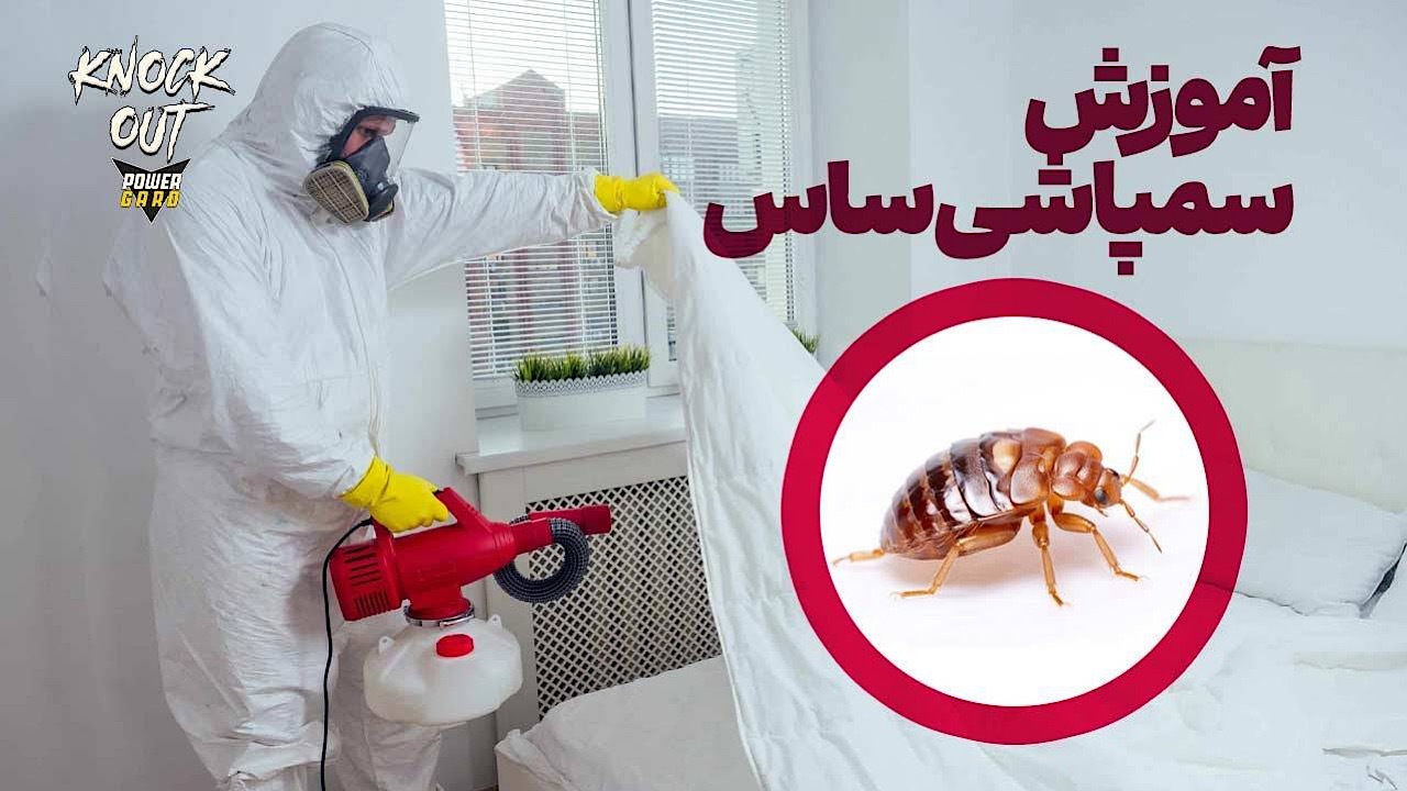 آموزش سمپاشی ساس منزل بدون تخلیه - بدون بو با سم ساس ناک اوت