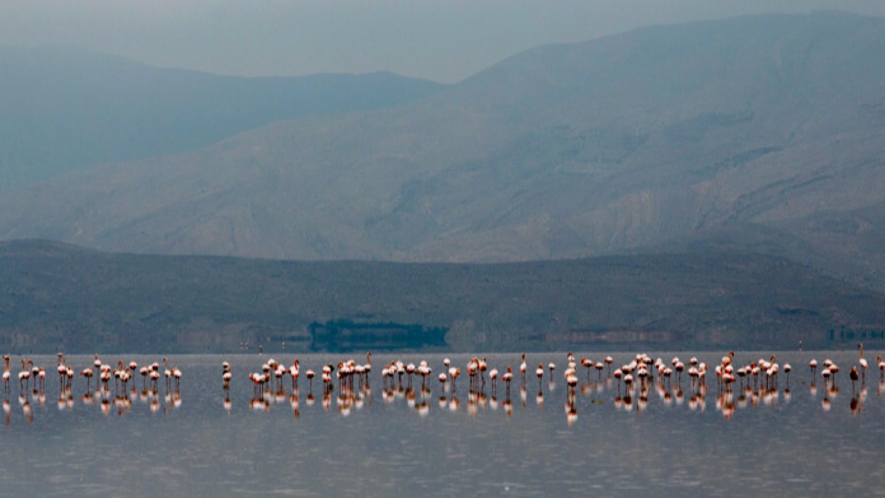 هفته جاری بارش‌ها از خزر تا خلیج فارس ادامه دارد