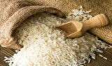 تولید برنج ۱۰ درصد افزایش می‌یابد