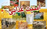 شرط خودکفایی محصولات اساسی و امنیت غذایی چیست؟ شرط خودکفایی محصولات اساسی و امنیت غذایی چیست؟