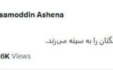 واکنش حسام الدین آشنا به سنگ پراکنی به عراقچی در مراسم تشییع رهبر شهید واکنش حسام الدین آشنا به سنگ پراکنی به عراقچی در مراسم تشییع رهبر شهید