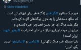 ضرغامی علت مرگ لیندسی گراهام را لو داد + عکس