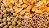مطالبات ارزی واردکنندگان ۴ میلیارد یورو است مطالبات ارزی واردکنندگان ۴ میلیارد یورو است
