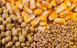 وضعیت مطلوب ذخایر کالاهای اساسی کشور وضعیت مطلوب ذخایر کالاهای اساسی کشور