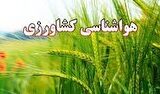 کشاورزان از نهال‌های جوان در برابر وزش باد حفاظت کنند