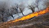 ۱۲۰۰ تیم عملیانی و ۵۰۰ هزار همیار طبیعت در آماده باش