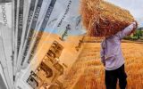 ۱۲.۲ همت به حساب کشاورزان واریز شد ۱۲.۲ همت به حساب کشاورزان واریز شد