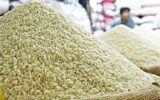 چه کسانی برنج آمریکایی وارد کردند؟ + جزئیات ماجرا چه کسانی برنج آمریکایی وارد کردند؟ + جزئیات ماجرا
