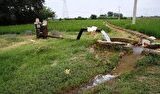 افزایش تعرفه و تصاعد پلکانی بهای برق مشترکین کشاورزی لغو شد افزایش تعرفه و تصاعد پلکانی بهای برق مشترکین کشاورزی لغو شد