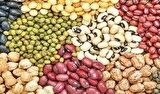 محاصره دریایی در واردات حبوبات تاثیری ندارد/حبوبات به میزان مکفی در بنادر و انبارها موجود است + فیلم محاصره دریایی در واردات حبوبات تاثیری ندارد/حبوبات به میزان مکفی در بنادر و انبارها موجود است + فیلم