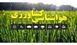 کشاورزان از سم‌پاشی و کوددهی در ساعات بعدازظهر اجتناب کنند