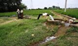 کشاورزان تا زمان اصلاح تعرفه، از پرداخت قبوض خودداری کنند